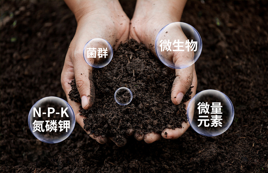 品質優(yōu)于標準