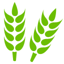 糧食專(zhuān)用